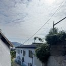 영자네민박 이미지