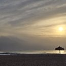 (유)개봉산업 | 장항준 감독, 거장인가 꼬장인가! "왕과 사는 남자" 후기