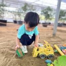 삽존농장 네이버블로그