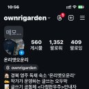 온리앳오운리 이미지