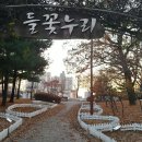 해너미 이미지