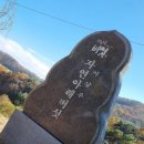 자연아래 버섯요리전문점 이미지