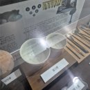 동학 - 관악구 | 전주 가볼만한곳 동학혁명기념관 실방문 후기, 역사 여행 추천