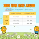 마쓰야마 여행 정보 종합🍊(2023.3 기준)