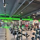 팀터틀랫 양산범어점 이미지