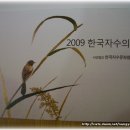 낭연자수