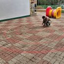 유성유치원 이미지