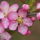 삼정상사 이미지