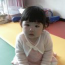 태은 Daum카페