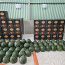 우곡농장 이미지