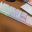 써넥스