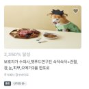 동동보감