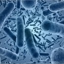 경산냉동 이미지