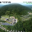 자연으로 이미지