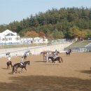 대전승마장 이미지