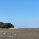 솔밭야영장 이미지