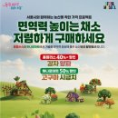 착한할인마트 이미지