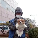 논산시 동물보호센터 네이버블로그
