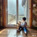 충청도 충주 여행 아이와 1박2일 충주호펜션 주봉산펜션