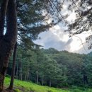 갱이농장 이미지