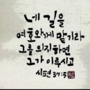 샬롬 Daum카페
