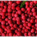 몸과마음한의원 이미지