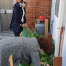 일성 경로당 이미지