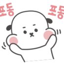 닥치고푸드 이미지