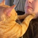 미가스시 이미지