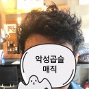 브라더헤어 이미지