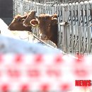 호 농장 이미지