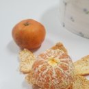 라포르하례 이미지