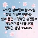 행정사 서면사무소 네이버블로그