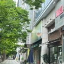 진품왕만두