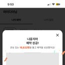 냐옹지마 이미지