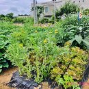 현정이네 농장 이미지