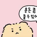 피티디