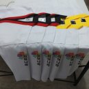 용인대독수리태권도 이미지