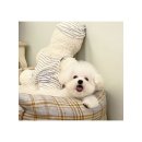 알곡켄넬 이미지