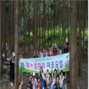 남구-23 이미지