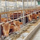 농장축산직거래 이미지