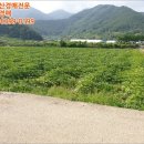 남해-309 이미지