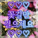 충주화원 이미지