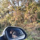 스테이 협재10길 이미지