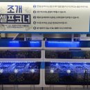 통영굴조개구이 이미지