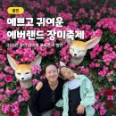에버랜드 장미축제 로로티 로즈가든 포토존 잔뜩!