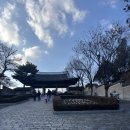 달성공원 | 대구 도심에서 만나는 무료 동물원, 달성공원 동물원 다녀온 후기