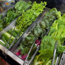 호정타워 | 강남역무한리필 강남단체회식장소로 좋은 퀸즈가든 강남역점 방문후기