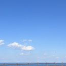 (주)엔젤렌터카 이미지