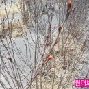 팔팔농장 이미지